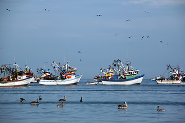 Image showing Pelicans and fishing boats 