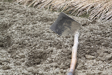 Image showing spade ready to prepare vegetable bed for sowing 