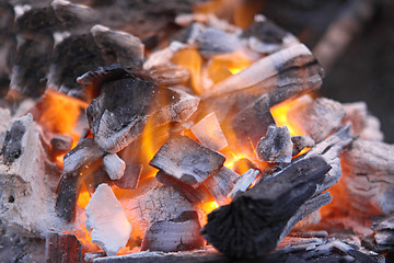 Image showing Decaying red coals of a tree in a fire 