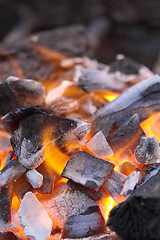 Image showing Decaying red coals of a tree in a fire 