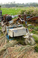 Image showing tractor on rice farm