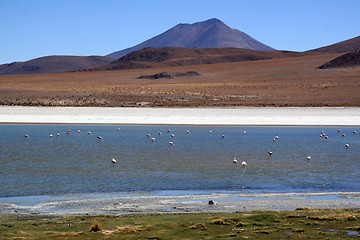 Image showing Mount and lake