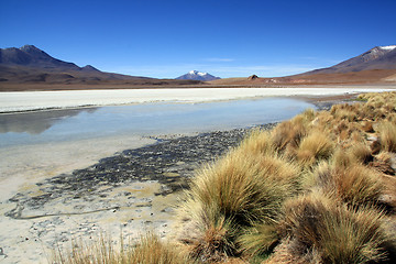 Image showing Salt lake