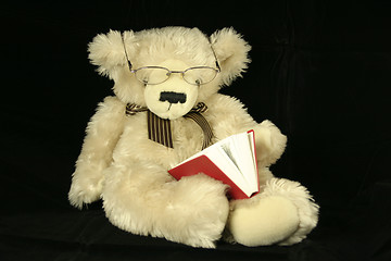 Image showing teddy bear reading