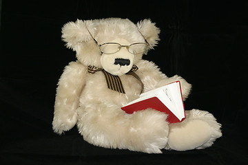 Image showing teddy bear reading