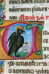 Image showing Holy Bible Book