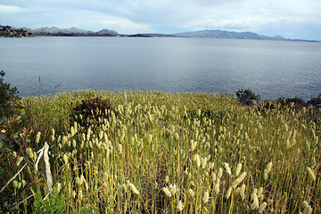 Image showing Isla del Sol