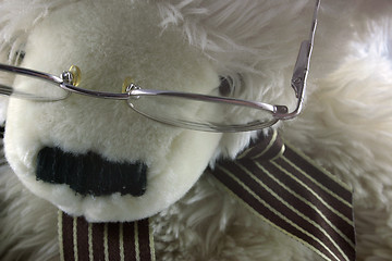 Image showing near sighted teddy
