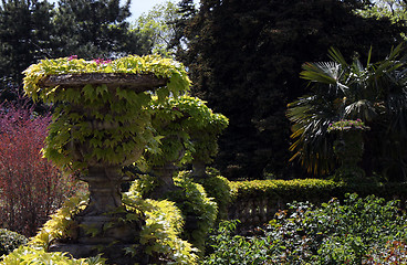 Image showing plants in a park
