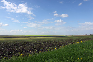 Image showing fields 