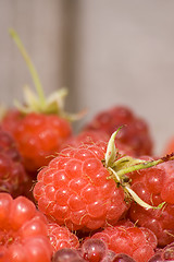 Image showing Red raspberries III