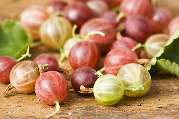 Image showing Fresh gooseberries I