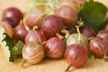 Image showing Fresh gooseberries II