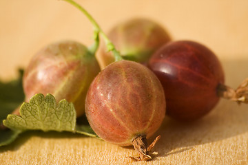 Image showing Fresh gooseberries III