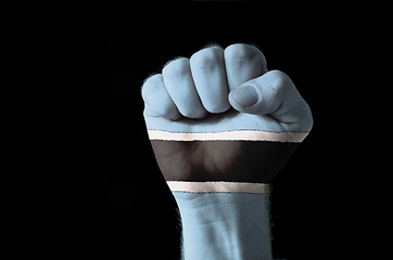 Image showing Fist painted in colors of botswana flag