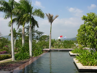 Image showing Chinese Swimming Pool