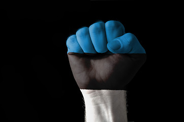 Image showing Fist painted in colors of estonia flag