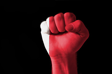 Image showing Fist painted in colors of bahrain flag