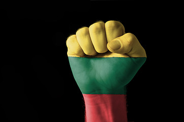 Image showing Fist painted in colors of lithuania flag