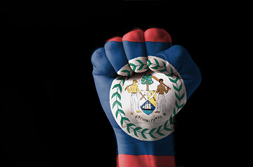 Image showing Fist painted in colors of belize flag