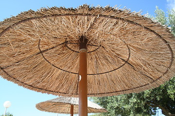 Image showing Parasols