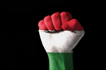 Image showing Fist painted in colors of hungary flag