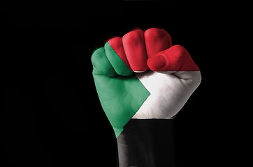 Image showing Fist painted in colors of sudan flag