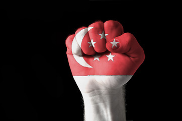 Image showing Fist painted in colors of singapore flag