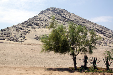 Image showing Mount and desert