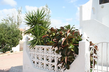 Image showing Garden wall