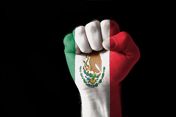 Image showing Fist painted in colors of mexico flag