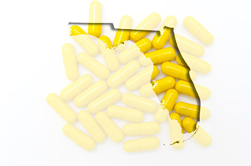 Image showing Outline map of Florida with transparent pills in the background