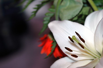 Image showing White lilly