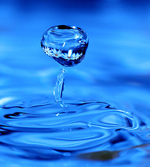 Image showing drop with reflection of flowers