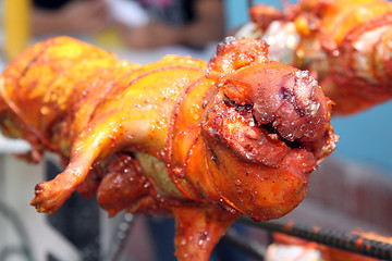 Image showing Roast guinea pig