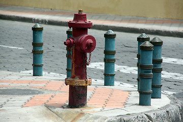 Image showing Fire hydrants