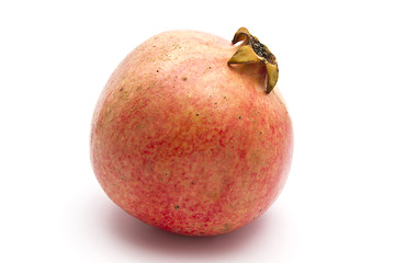 Image showing Pomegranate