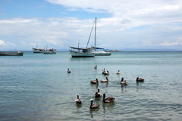 Image showing Boats