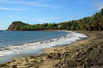 Image showing Caribean coast