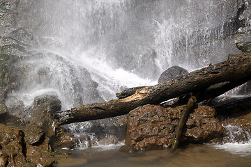 Image showing Waterfall and tree