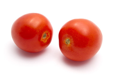 Image showing Fresh tomatoes 