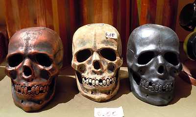 Image showing Skulls