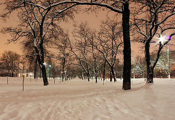 Image showing avenue in winter night