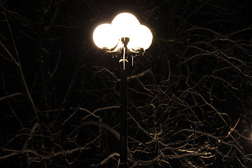 Image showing lantern with icicles