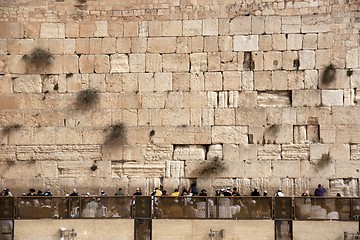 Image showing Praying near western wall