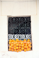 Image showing Old Tunisian window with oranges