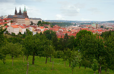 Image showing Prague Castle