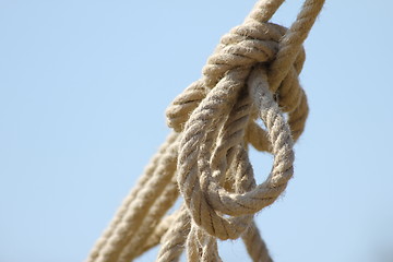 Image showing knot