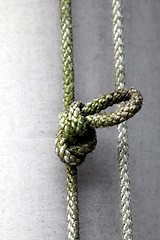 Image showing knot cords