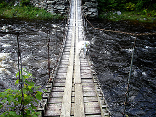 Image showing Suspension Bridge 2